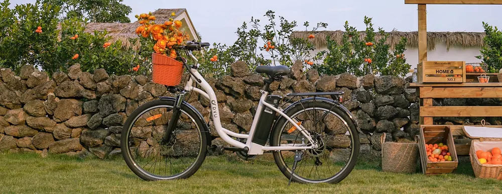 DYU C6 Bicicleta Eléctrica Urbana image 15