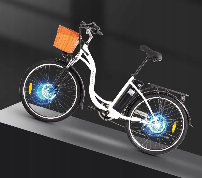 Rueda de 26 pulgadas de la bicicleta eléctrica DYU C6.