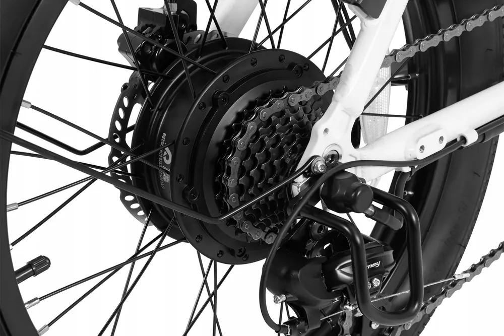 DYU C9 Bicicleta Eléctrica Plegable image 12