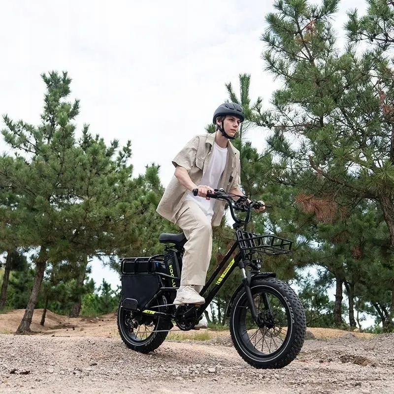 Motor de 750W en bicicleta eléctrica 1000W 48V65Ah con freno de aceite.