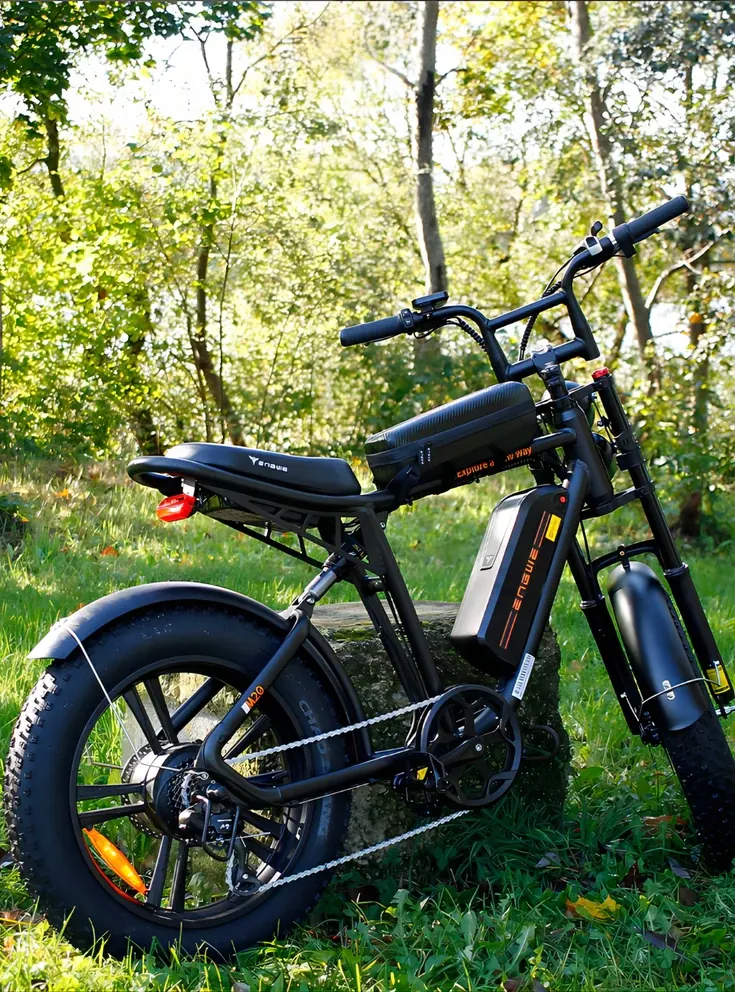 ENGWE M20 Bicicleta Eléctrica Dual image 2