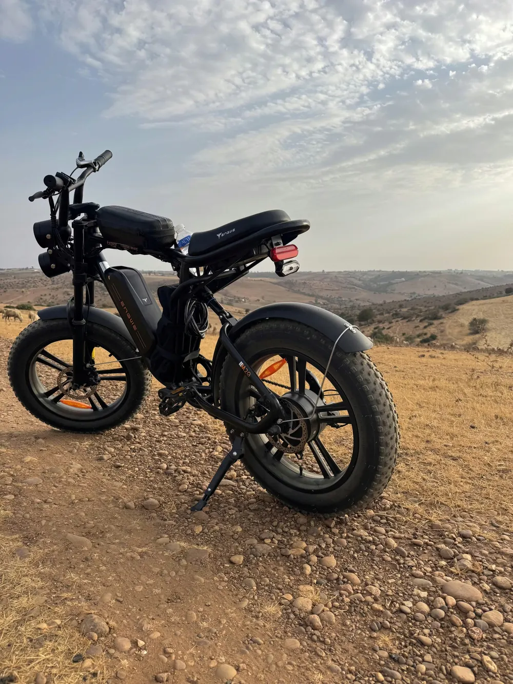 ENGWE M20 Bicicleta Eléctrica Dual image 4