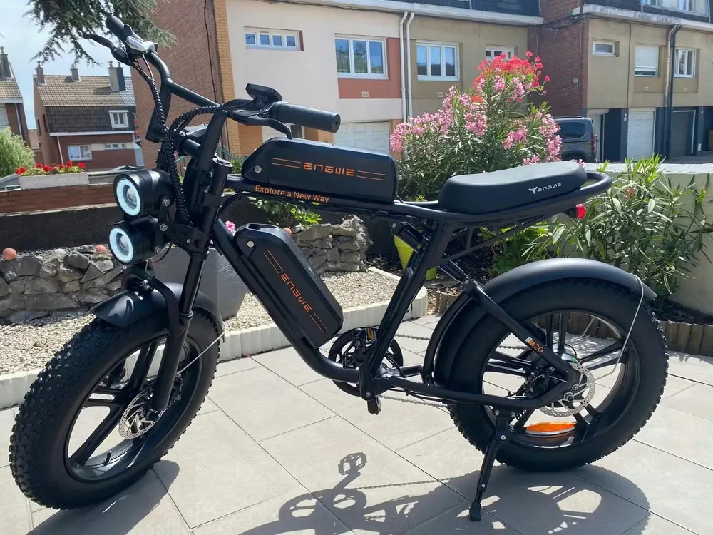 ENGWE M20 Bicicleta Eléctrica Dual image 5