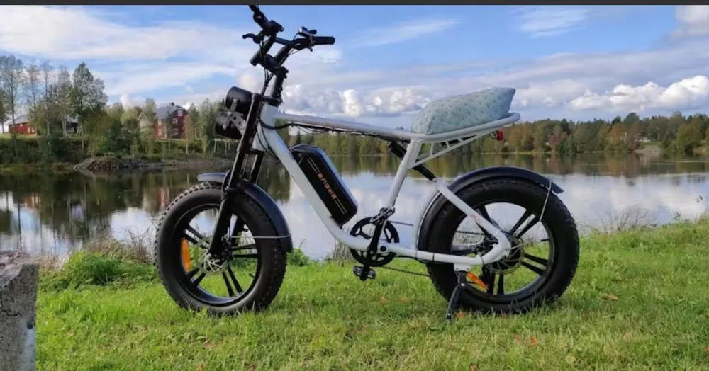 Bicicleta eléctrica ENGWE M20 blanca con llanta 20 pulgadas y batería 48V 13AH