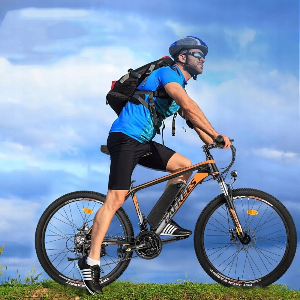 FAFREES 26 Hailong One Bicicleta Eléctrica MTB image 15