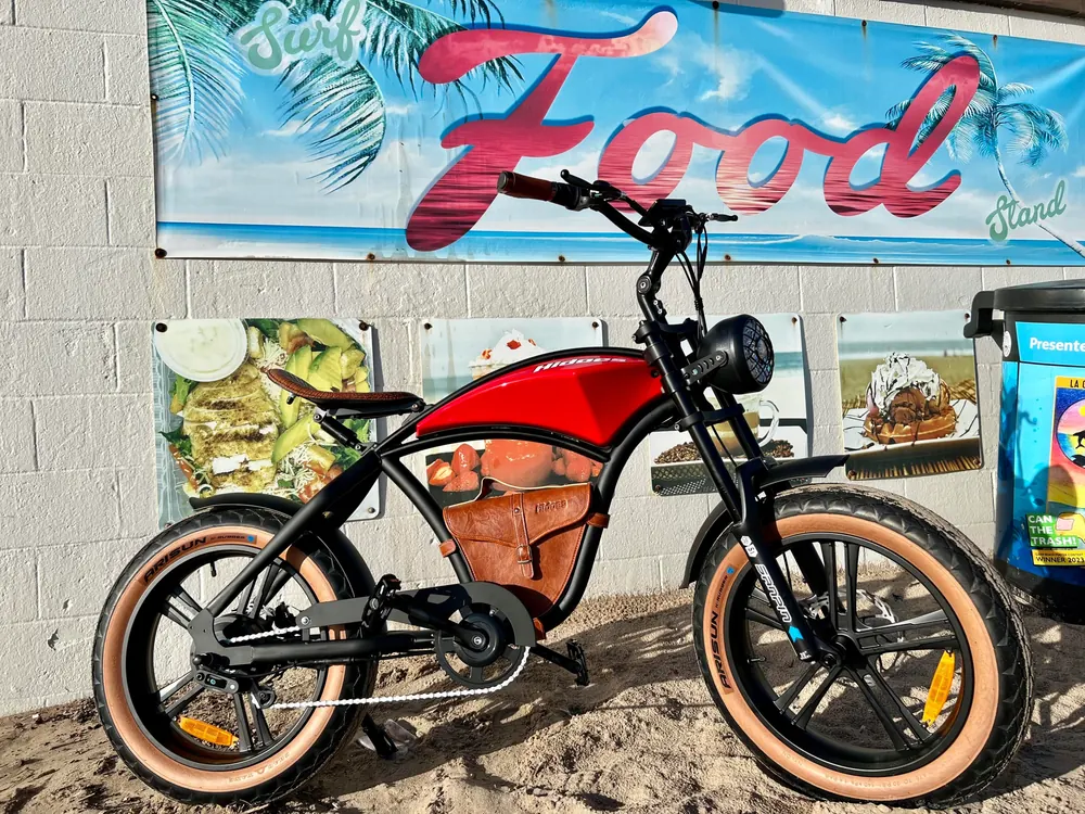 HIDOES B10 Bicicleta Eléctrica Fat Tire image 2