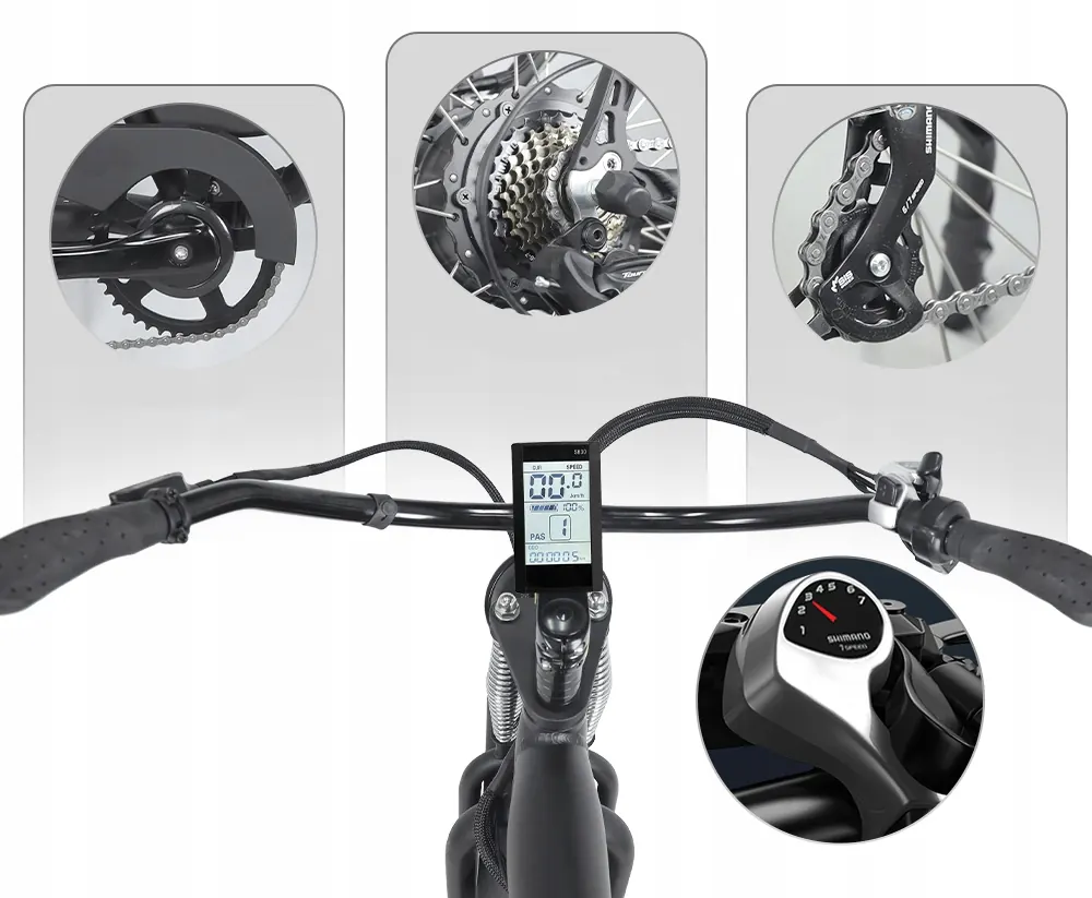 Rueda de 26 pulgadas de la bicicleta eléctrica HIDOES B3 Fat Tire negra
