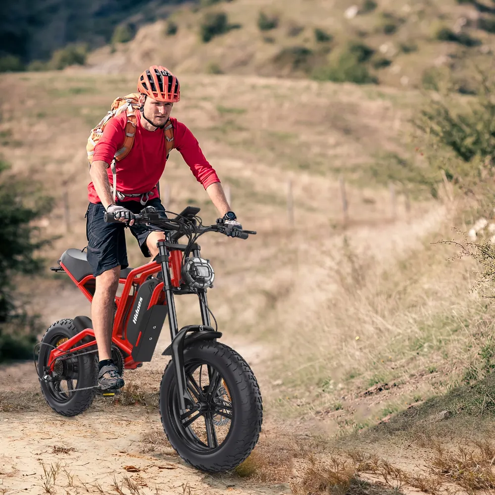 Bicicleta eléctrica Hidoes B6 48V 15Ah con frenos de disco hidráulicos