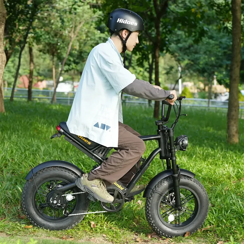 HIDOES B6 MINI Bicicleta Eléctrica Compacta image 3