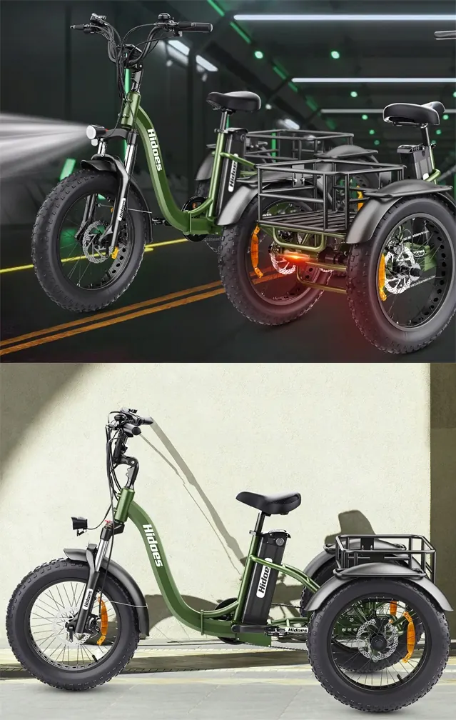 Marco robusto de la bicicleta eléctrica Hidoes HD-ET1 750W 48V20Ah