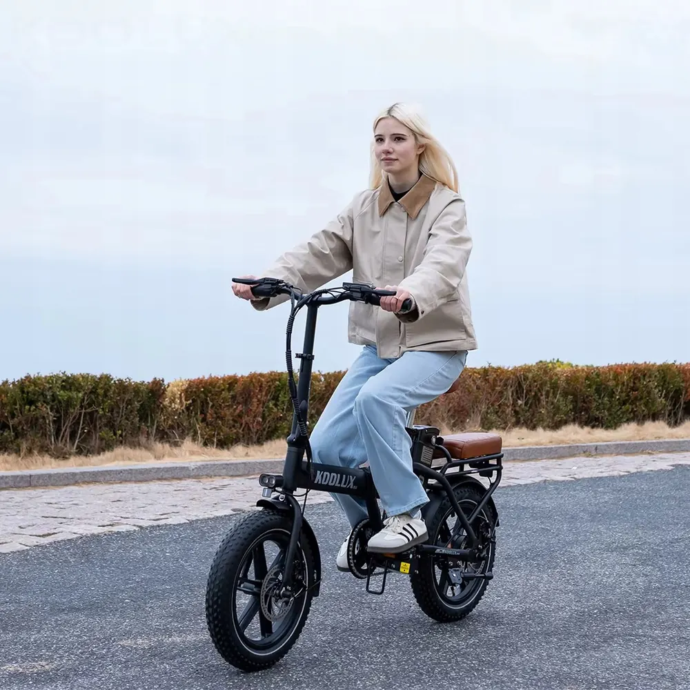 Marco de la bicicleta eléctrica plegable KOOLUX X10, material resistente.
