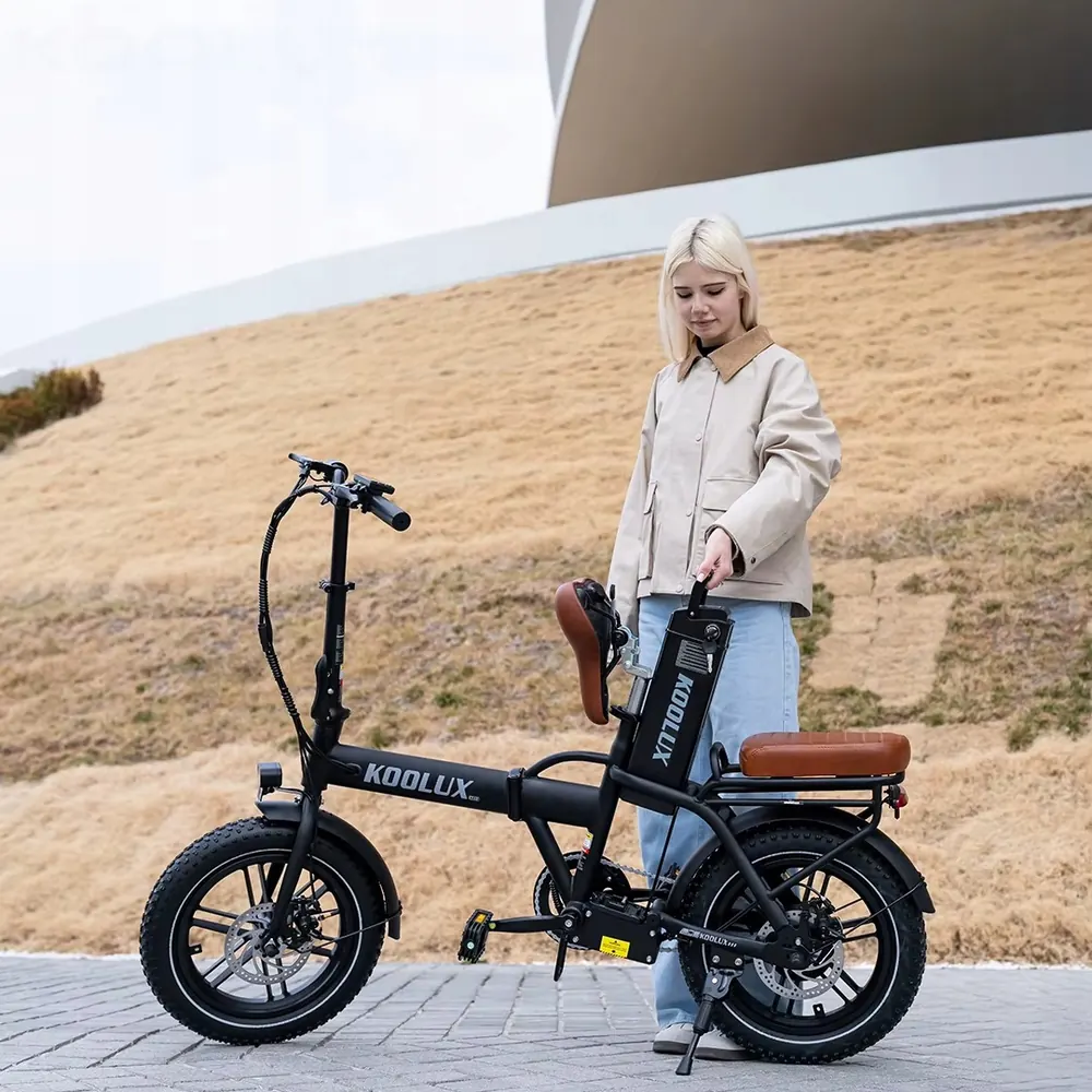 Rueda de 16 pulgadas de la bicicleta eléctrica plegable KOOLUX X10.