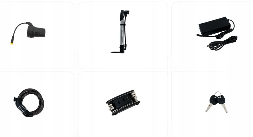 Rueda de 20 pulgadas de la bicicleta eléctrica KOOLUX X11