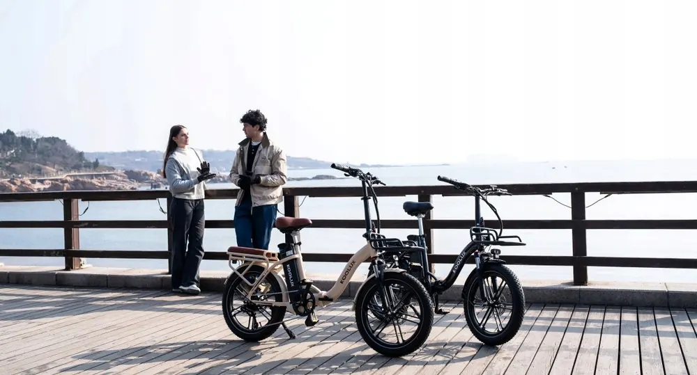 KOOLUX X16 Bicicleta Eléctrica Plegable image 15