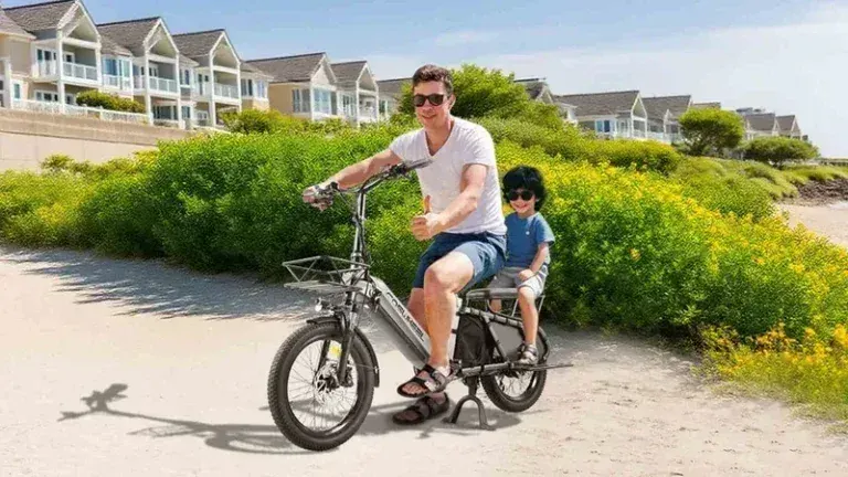 Coswheel HQ20 Bicicleta Eléctrica de Carga image 6
