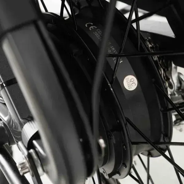 Coswheel HQ20 Bicicleta Eléctrica de Carga image 7