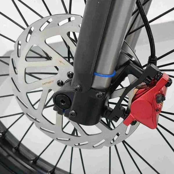 Coswheel R19 Bicicleta Eléctrica de Montaña image 11