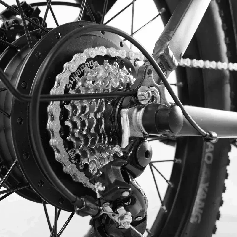 Coswheel Y20L Bicicleta Eléctrica Plegable image 12