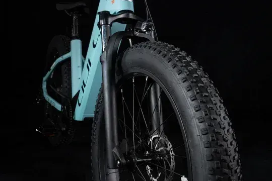 Cyrusher Aura Fat Tire E-Bike Paso a Paso image 9