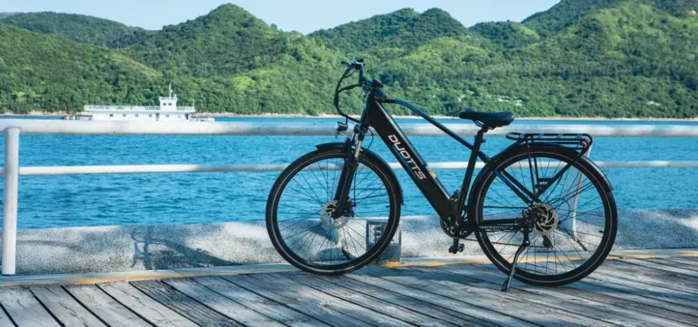 Duotts C29 Lite Bicicleta Eléctrica de Ciudad image 10