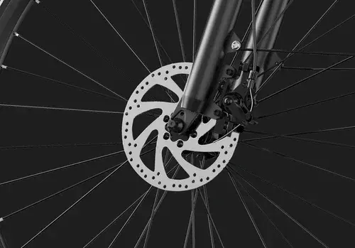 Duotts C29 Lite Bicicleta Eléctrica de Ciudad image 8