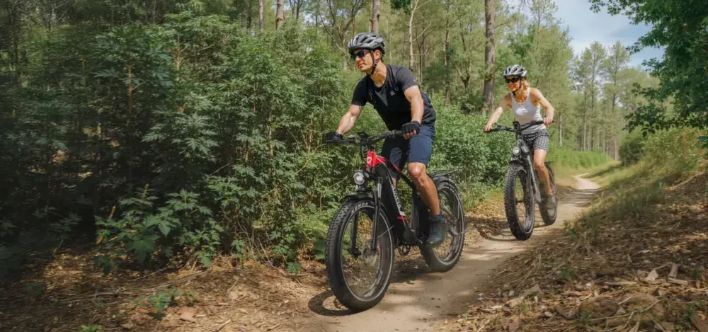 Duotts F26Lite Bicicleta Eléctrica Fat Tire image 3