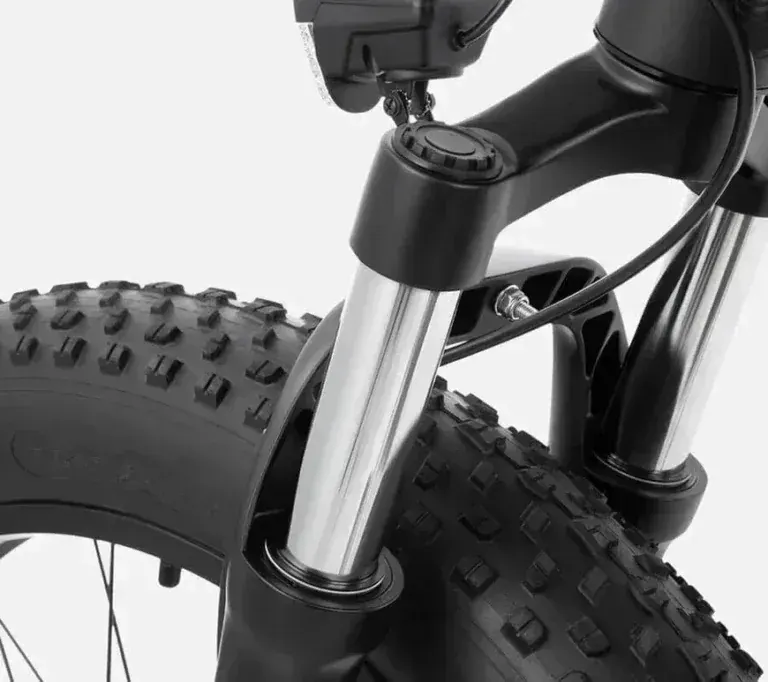 DYU King 750 Bicicleta Eléctrica Fat Tire image 5