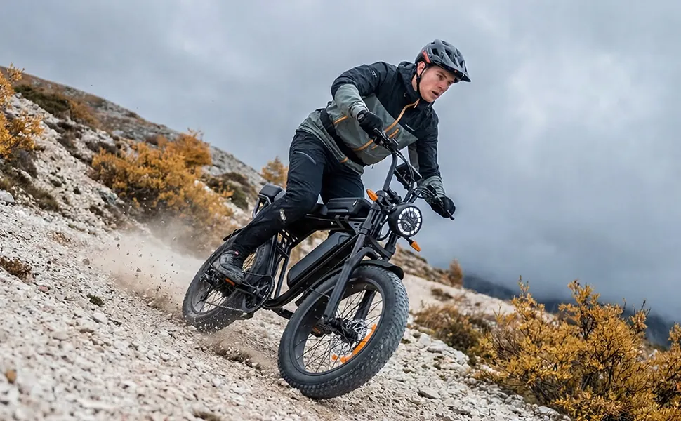 AAIRSK X5 Bicicleta Eléctrica Fat Bike 20" image 10
