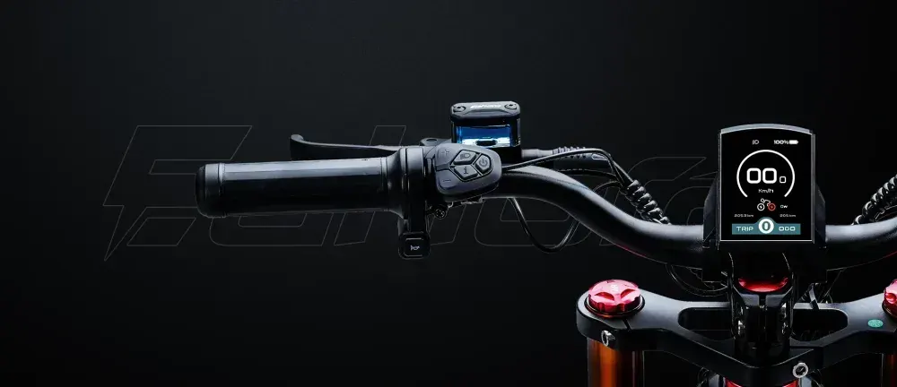 Eahora Romeo Pro II Bicicleta Eléctrica Fat Tire image 3