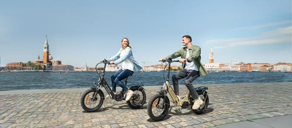 Engwe L20 3.0 Pro Bicicleta Eléctrica Plegable image 5