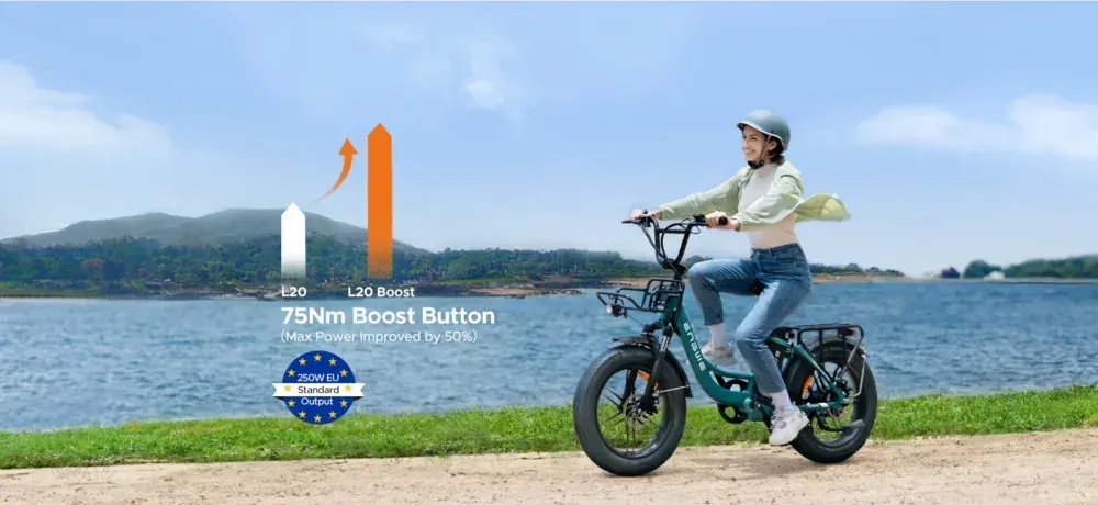 Engwe L20 Boost Bicicleta Eléctrica Fat Tire image 4