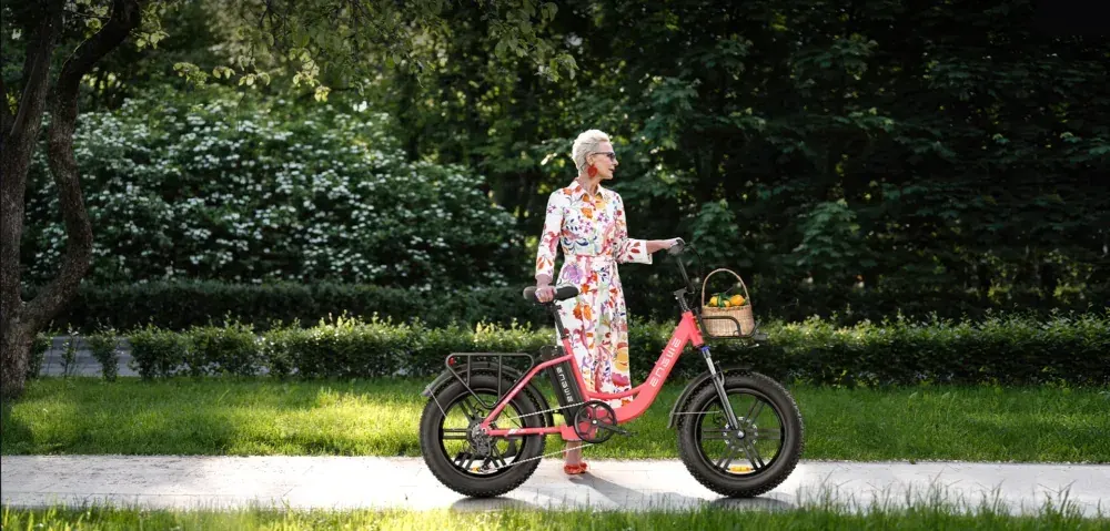 Engwe L20 Bicicleta Eléctrica Fat Tire Plegable image 5