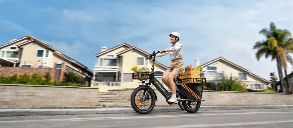 Engwe LE20 Bicicleta Eléctrica de Carga image 10
