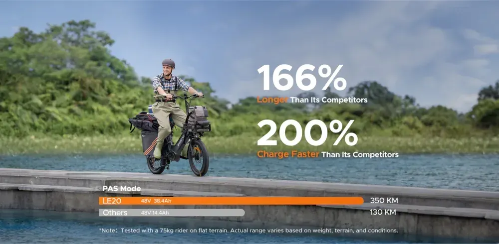 Engwe LE20 Bicicleta Eléctrica de Carga image 6