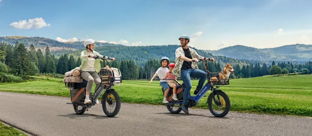 Engwe LE20 Bicicleta Eléctrica de Carga image 9