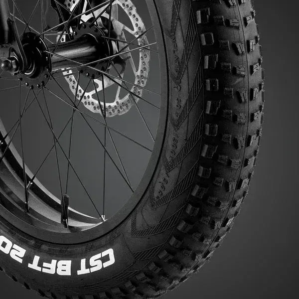 Fafrees F20 Master Bicicleta Eléctrica Fat Tire image 9