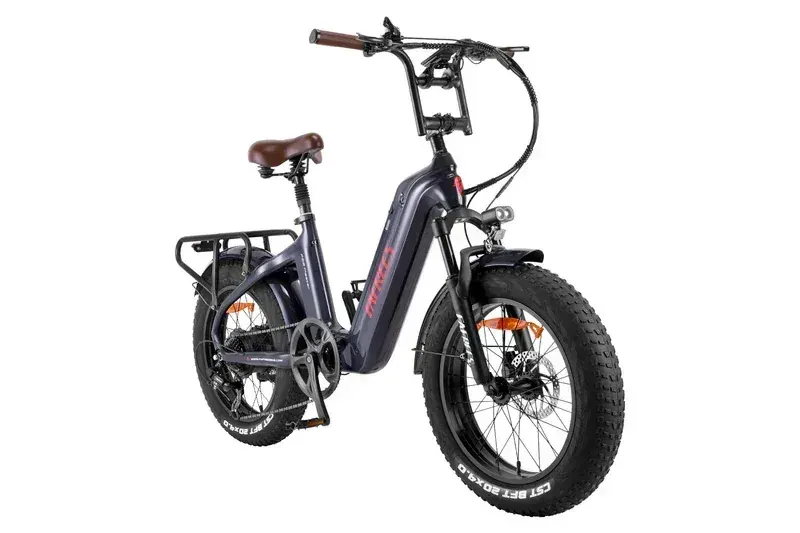 Fafrees F20 Master Bicicleta Eléctrica Fat Tire image 14