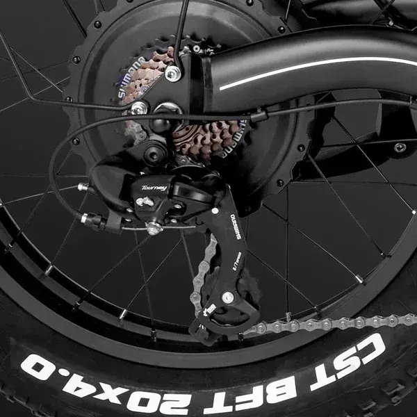 Fafrees F20 X-Max Bicicleta Eléctrica de Carga Plegable image 9