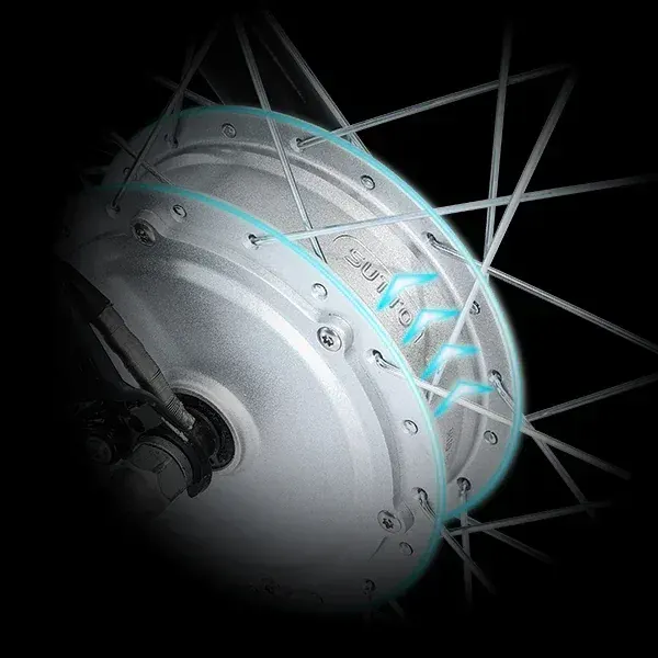 Gogobest GF100 Triciclo Eléctrico de Carga image 3