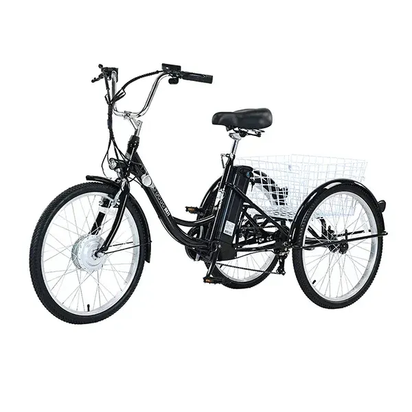Gogobest GF100 Triciclo Eléctrico de Carga image 4