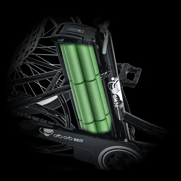 Gogobest GF100 Triciclo Eléctrico de Carga image 5