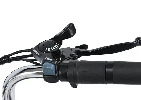 Gogobest GF100 Triciclo Eléctrico de Carga image 6