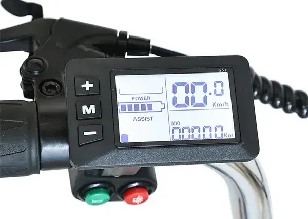 Gogobest GF100 Triciclo Eléctrico de Carga image 7