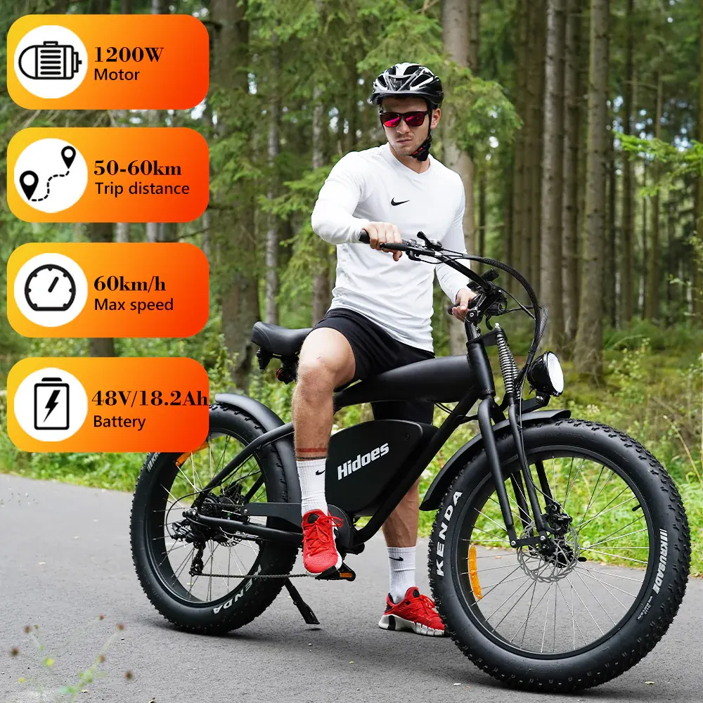 Hidoes B3 Bicicleta Eléctrica Fat Tire image 9