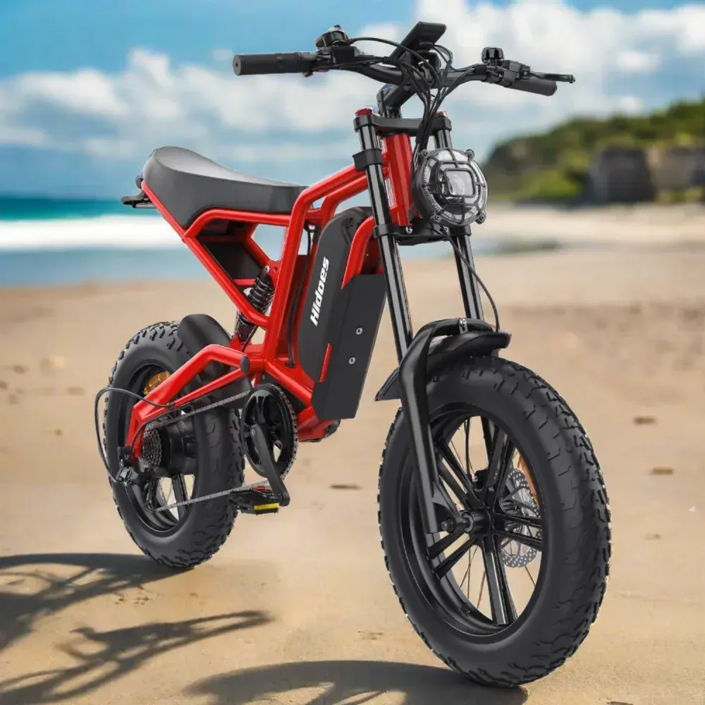 Hidoes B6 Bicicleta Eléctrica Fat Tire image 12