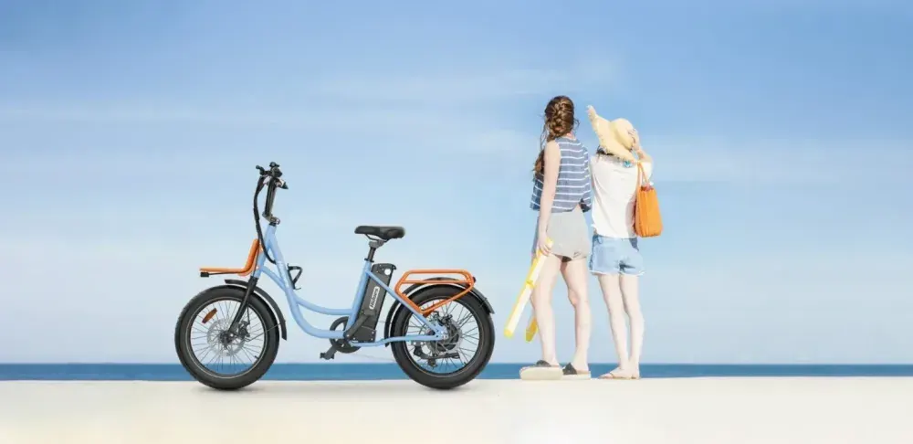 Hidoes C6 Bicicleta Eléctrica de Montaña image 3