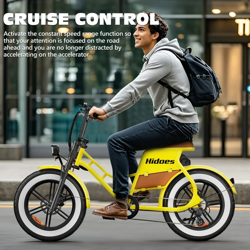 Hidoes C8 Bicicleta Eléctrica Fat Tire image 9