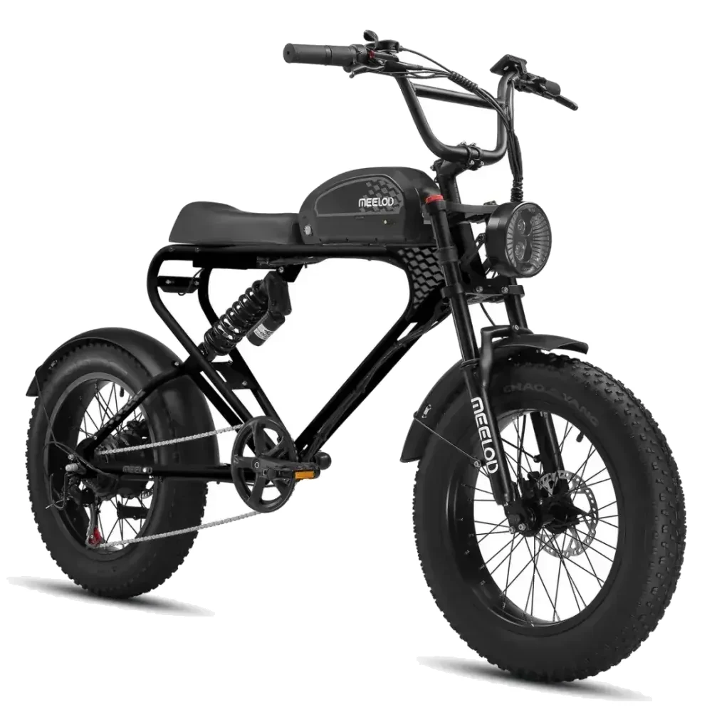 Meelod DK300 PLUS Bicicleta Eléctrica Fat Tire image 1