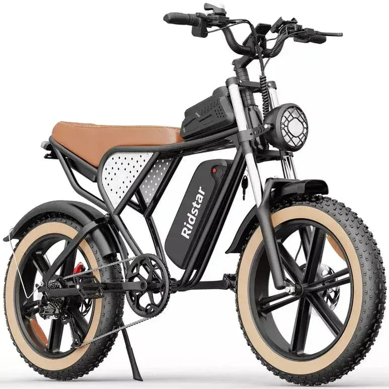 Ridstar Q20 Luxe Bicicleta Eléctrica Fat Tire Retro image 6