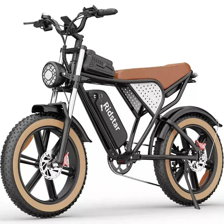 Ridstar Q20 Luxe Bicicleta Eléctrica Fat Tire Retro image 7